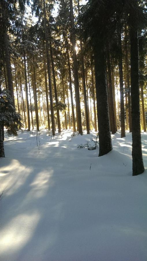 Schwarzwald Geht Immer Fewo 60 Qm Mit Grossem Suedbalkon, Wlan Und Magenta Tv Schönwalde المظهر الخارجي الصورة